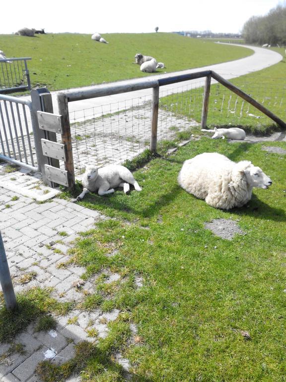 Auf Dem Alten Deich Sande Eksteriør bilde